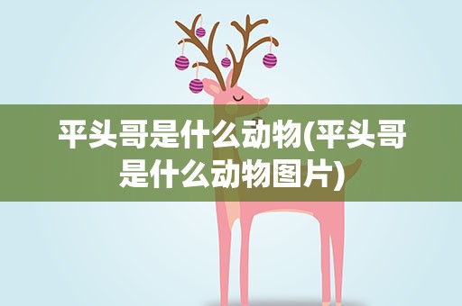 平头哥是什么动物(平头哥是什么动物图片)