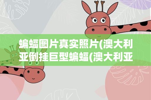 蝙蝠图片真实照片(澳大利亚倒挂巨型蝙蝠(澳大利亚倒挂巨型蝙蝠图片))