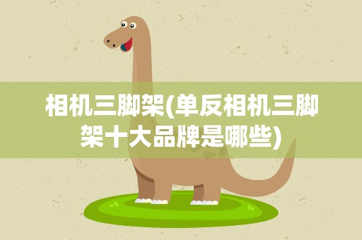 相机三脚架(单反相机三脚架十大品牌是哪些)