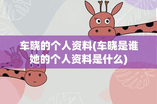 车晓的个人资料(车晓是谁她的个人资料是什么)