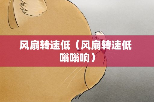风扇转速低（风扇转速低 嗡嗡响）