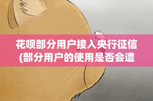 花呗部分用户接入央行征信(部分用户的使用是否会遭到影响)