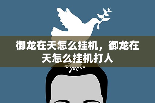 御龙在天怎么挂机，御龙在天怎么挂机打人