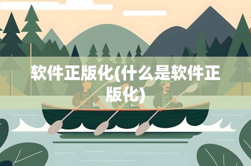 软件正版化(什么是软件正版化)