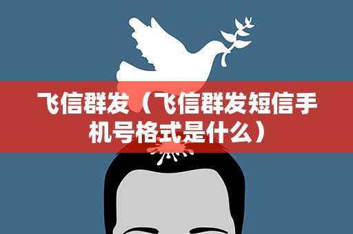 飞信群发（飞信群发短信手机号格式是什么）
