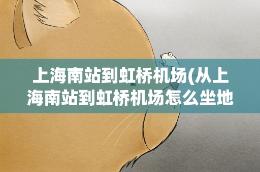 上海南站到虹桥机场(从上海南站到虹桥机场怎么坐地铁)