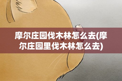 摩尔庄园伐木林怎么去(摩尔庄园里伐木林怎么去)
