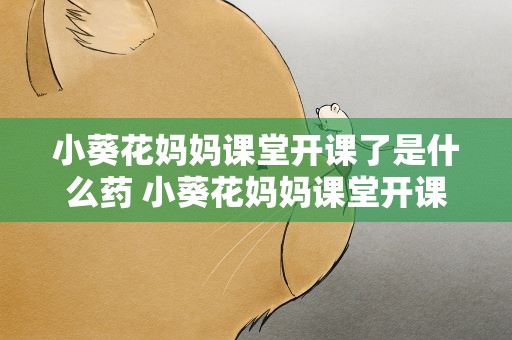 小葵花妈妈课堂开课了是什么药 小葵花妈妈课堂开课了多半是黄了