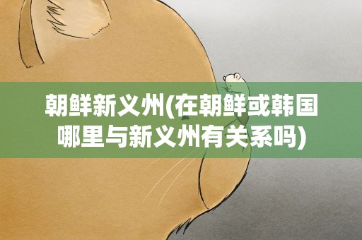 朝鲜新义州(在朝鲜或韩国哪里与新义州有关系吗)