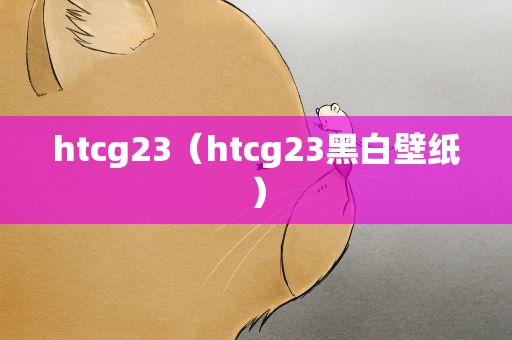 htcg23（htcg23黑白壁纸）