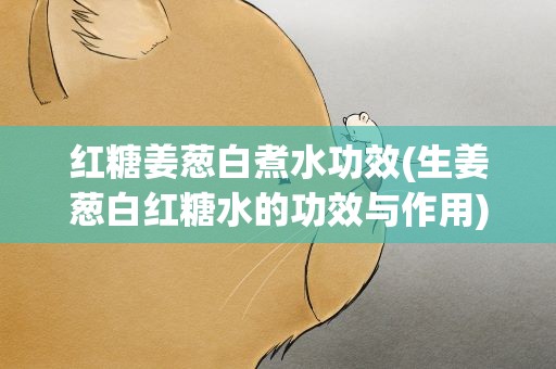 红糖姜葱白煮水功效(生姜葱白红糖水的功效与作用)