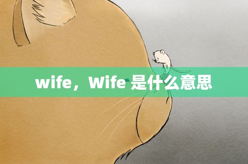wife，Wife 是什么意思
