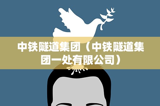 中铁隧道集团（中铁隧道集团一处有限公司）