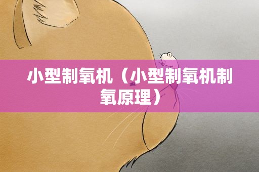 小型制氧机（小型制氧机制氧原理）