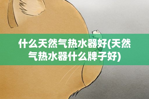 什么天然气热水器好(天然气热水器什么牌子好)