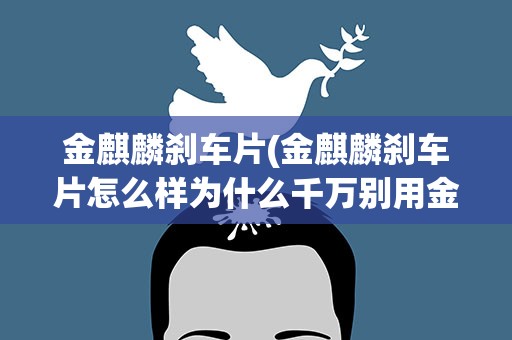 金麒麟刹车片(金麒麟刹车片怎么样为什么千万别用金麒麟刹车片)