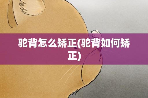驼背怎么矫正(驼背如何矫正)