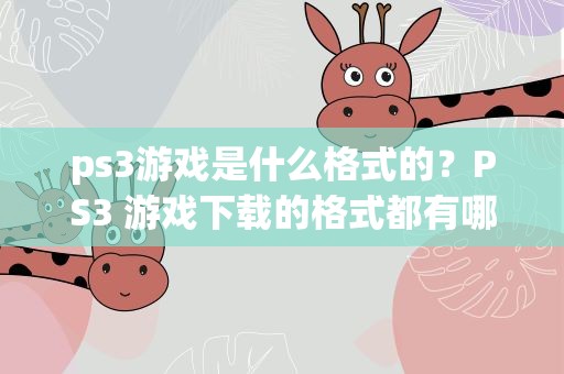 ps3游戏是什么格式的？PS3 游戏下载的格式都有哪些 怎么安装