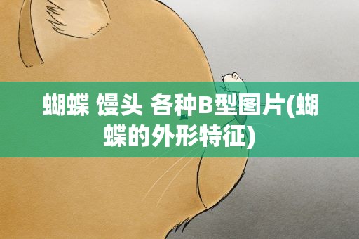 蝴蝶 馒头 各种B型图片(蝴蝶的外形特征)