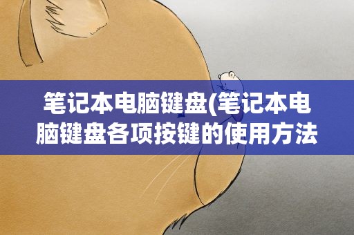笔记本电脑键盘(笔记本电脑键盘各项按键的使用方法)
