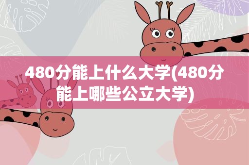 480分能上什么大学(480分能上哪些公立大学)