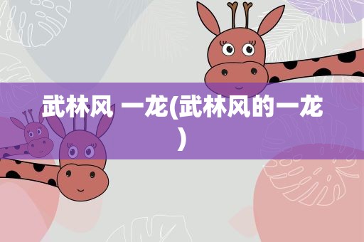 武林风 一龙(武林风的一龙)