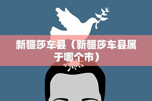 新疆莎车县（新疆莎车县属于哪个市）