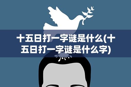 十五日打一字谜是什么(十五日打一字谜是什么字)