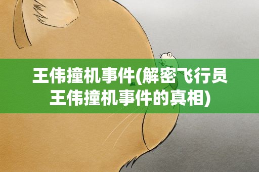王伟撞机事件(解密飞行员王伟撞机事件的真相)
