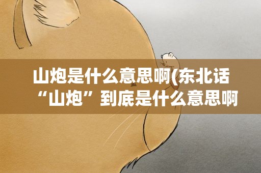 山炮是什么意思啊(东北话“山炮”到底是什么意思啊)