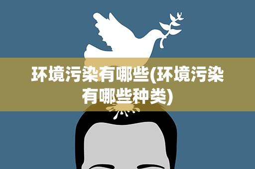 环境污染有哪些(环境污染有哪些种类)