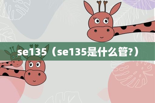 se135（se135是什么管?）
