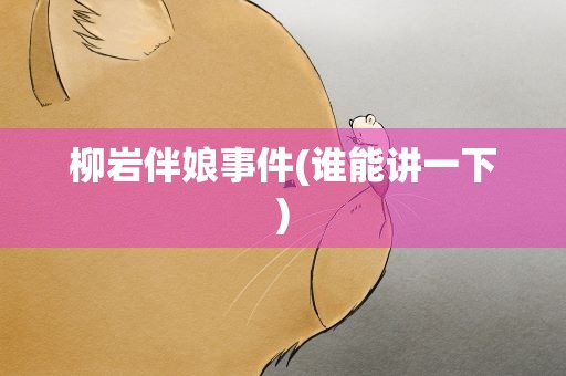 柳岩伴娘事件(谁能讲一下)
