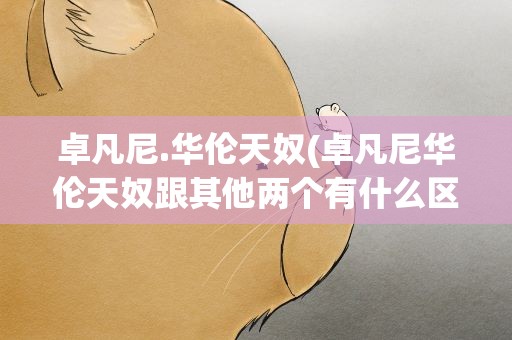 卓凡尼.华伦天奴(卓凡尼华伦天奴跟其他两个有什么区别)