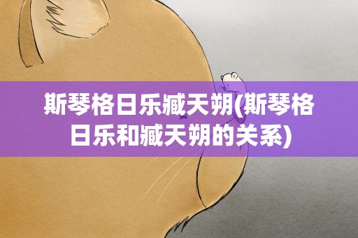 斯琴格日乐臧天朔(斯琴格日乐和臧天朔的关系)