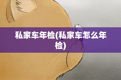 私家车年检(私家车怎么年检)