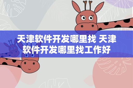 天津软件开发哪里找 天津软件开发哪里找工作好