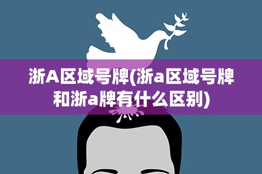 浙A区域号牌(浙a区域号牌和浙a牌有什么区别)
