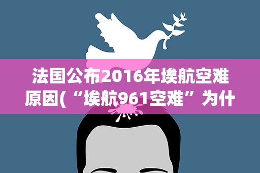 法国公布2016年埃航空难原因(“埃航961空难”为什么会让救生衣成为了夺命衣)
