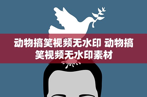 动物搞笑视频无水印 动物搞笑视频无水印素材