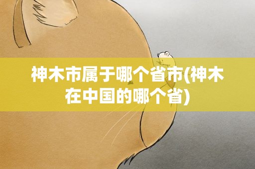 神木市属于哪个省市(神木在中国的哪个省)