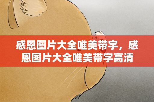 感恩图片大全唯美带字，感恩图片大全唯美带字高清