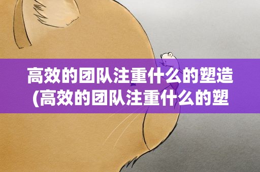 高效的团队注重什么的塑造(高效的团队注重什么的塑造和发展)