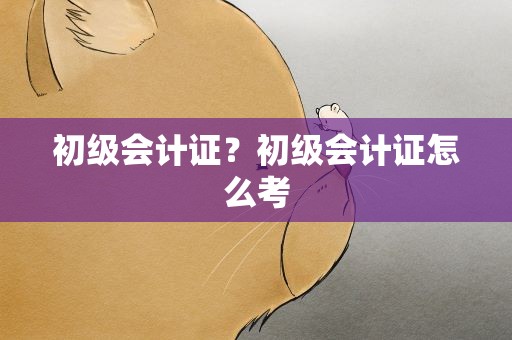 初级会计证？初级会计证怎么考