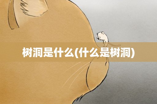 树洞是什么(什么是树洞)