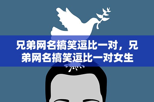兄弟网名搞笑逗比一对，兄弟网名搞笑逗比一对女生