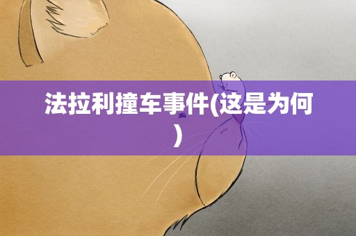 法拉利撞车事件(这是为何)