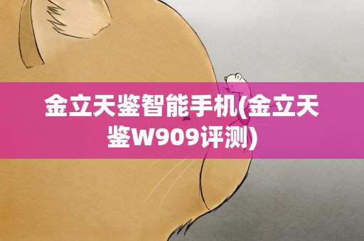 金立天鉴智能手机(金立天鉴W909评测)