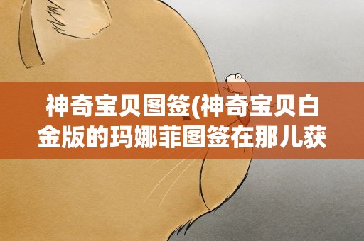 神奇宝贝图签(神奇宝贝白金版的玛娜菲图签在那儿获得怎样获得)