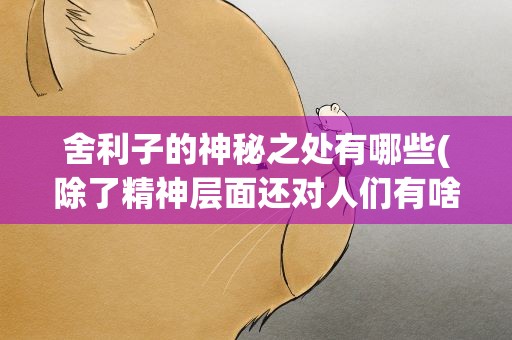 舍利子的神秘之处有哪些(除了精神层面还对人们有啥影响)